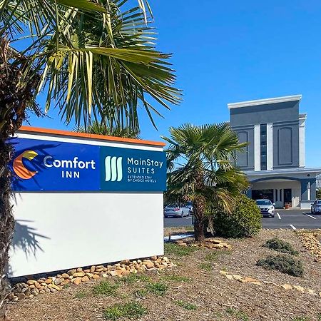 Mainstay Suites Conover-Hickory المظهر الخارجي الصورة